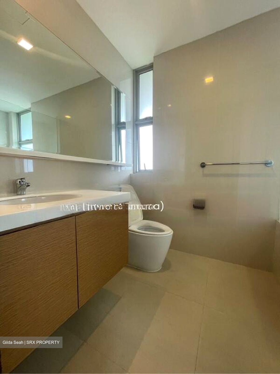 Nassim Regency (D10), Condominium #437313831